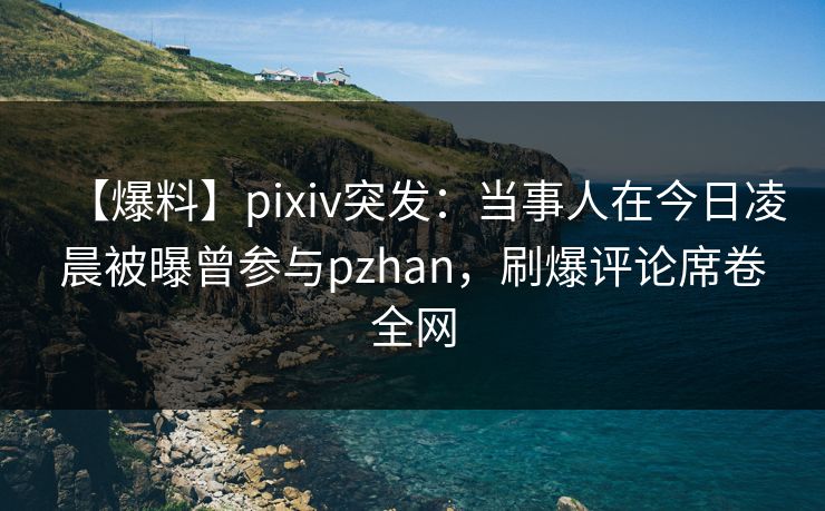 【爆料】pixiv突发：当事人在今日凌晨被曝曾参与pzhan，刷爆评论席卷全网