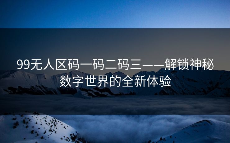 99无人区码一码二码三——解锁神秘数字世界的全新体验