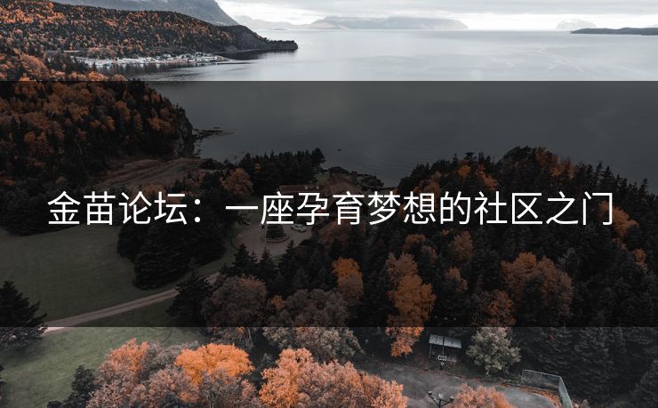 金苗论坛：一座孕育梦想的社区之门