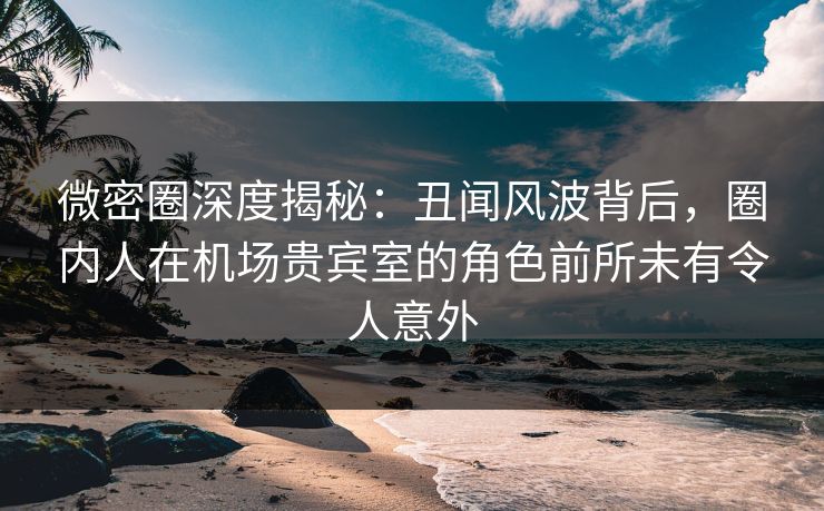 微密圈深度揭秘：丑闻风波背后，圈内人在机场贵宾室的角色前所未有令人意外