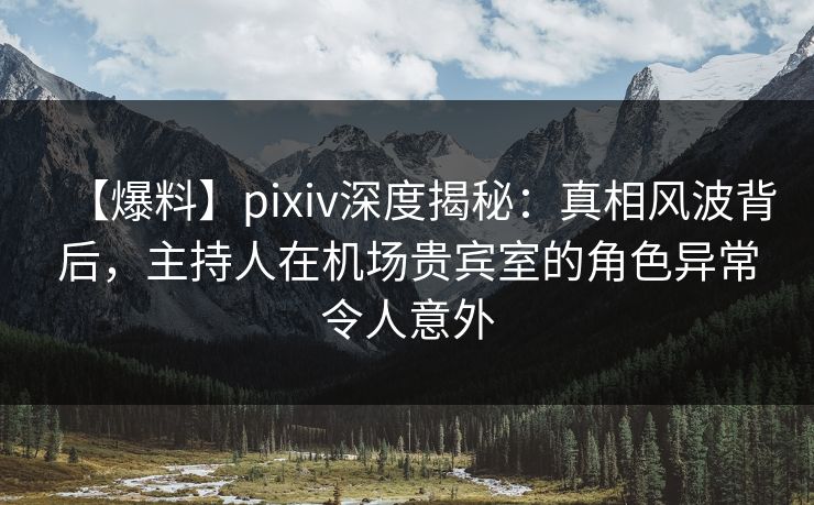 【爆料】pixiv深度揭秘：真相风波背后，主持人在机场贵宾室的角色异常令人意外