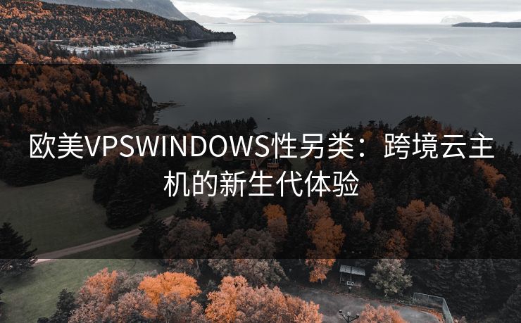欧美VPSWINDOWS性另类：跨境云主机的新生代体验