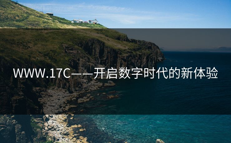 WWW.17C——开启数字时代的新体验